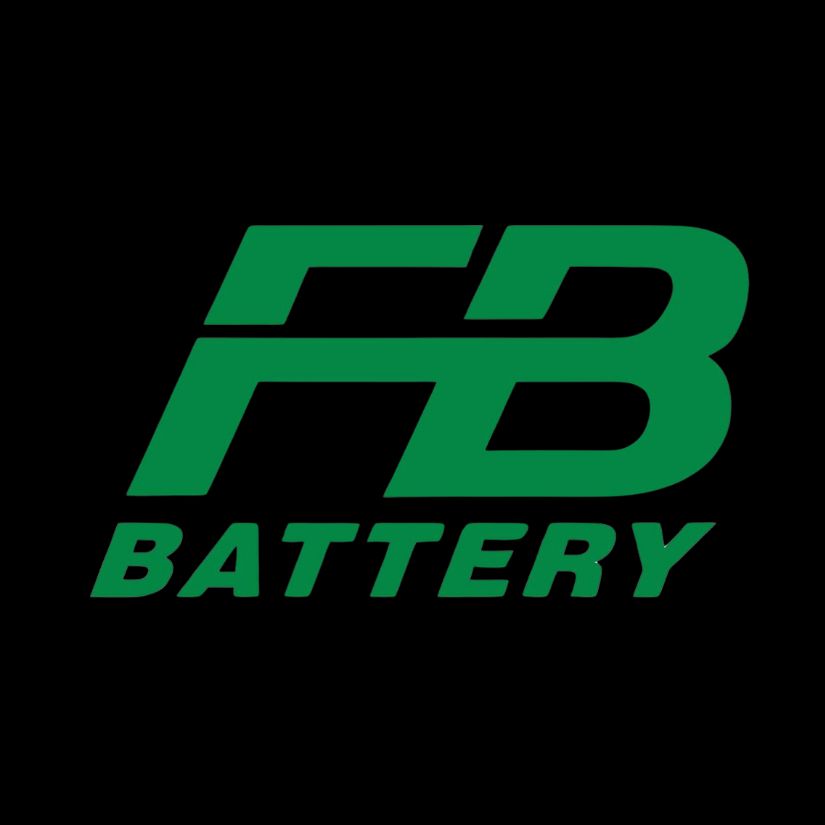 fb battery